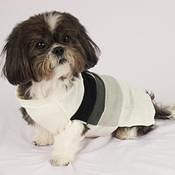 Teddy 2011